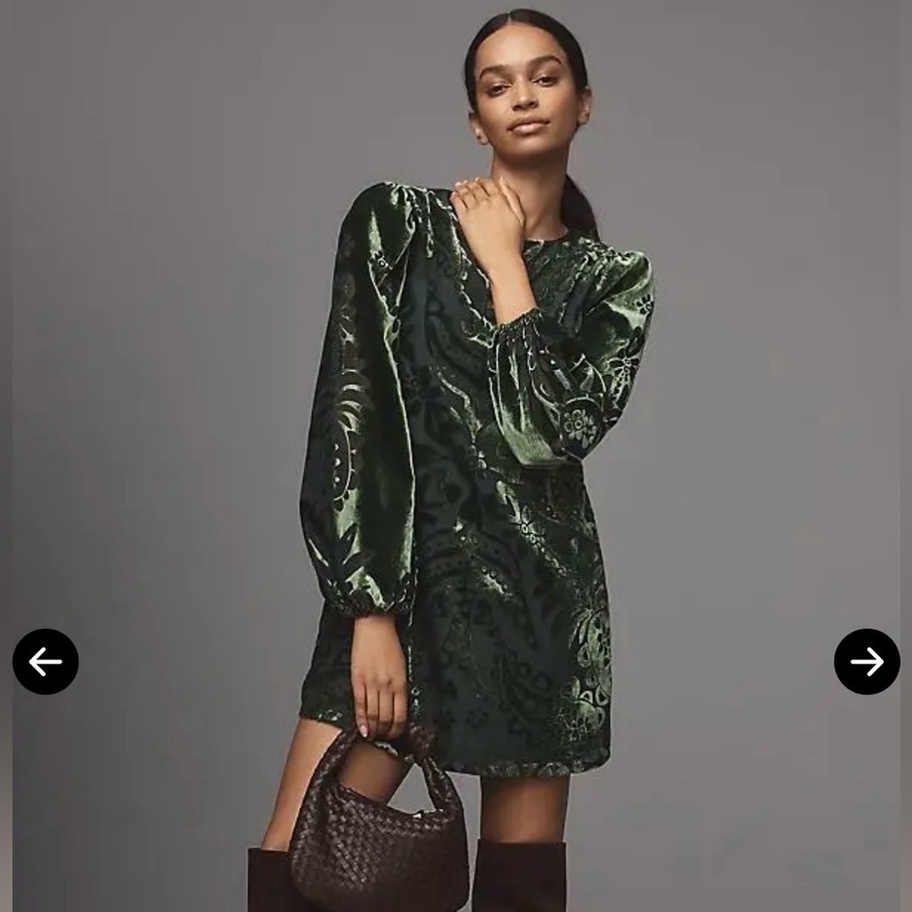 Farm Rio x Anthropologie Long-Sleeve Burnout Velvet Mini Dress, NWOT, size S